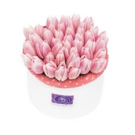 Kvetinový box TULIPÁN