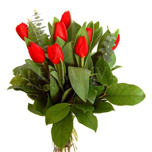 Kytica Červený tulipán z tulipánov