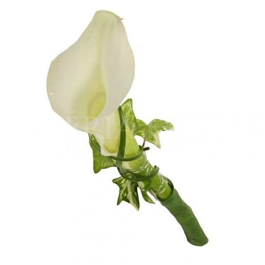 Pierko Biela calla