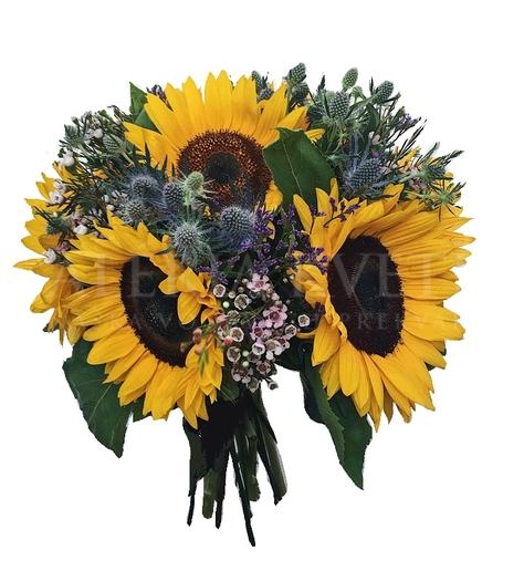 Kytica Summer sunflower